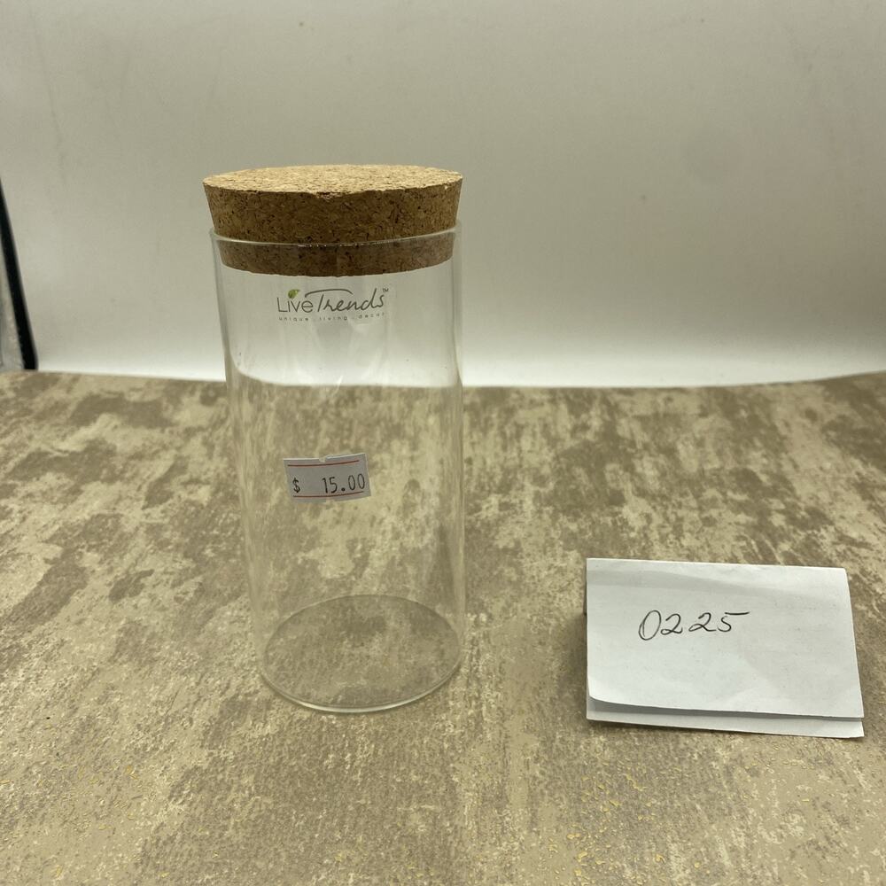 Live Trends Solitary Countertop Plant Or Storage Jar With Cork Lid 2.5”X 5.5”